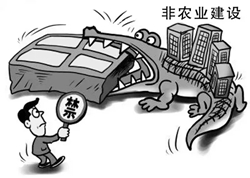 87da2b45e2c6e04c706f4c7b4128029b.jpg 6.webp.jpg